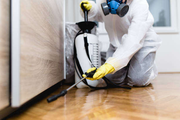 Best Best Pest Control Companies  in Rio Vista, CA