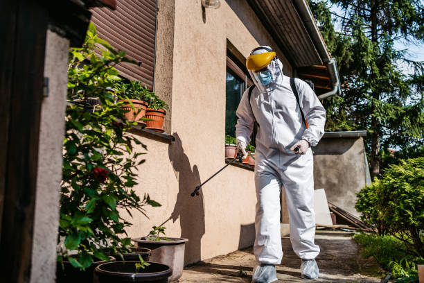 Best Rat Extermination Near Me  in Rio Vista, CA