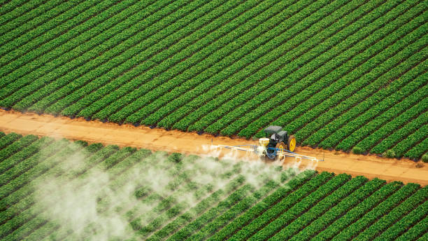 Best Pest Inspection Near Me  in Rio Vista, CA