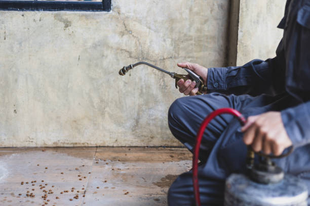 Best Pest Removal Services  in Rio Vista, CA