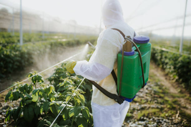 Best Emergency Pest Control  in Rio Vista, CA